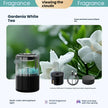 Car Air Freshener Premium Diffuser
