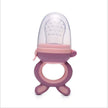 Baby Fruit Feeder Pacifier