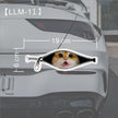 Creative Car Stickers
