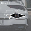 Creative Car Stickers