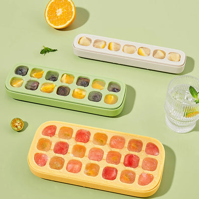 Ice Cube Tray Mold