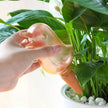 Automatic Bird Plant Waterer