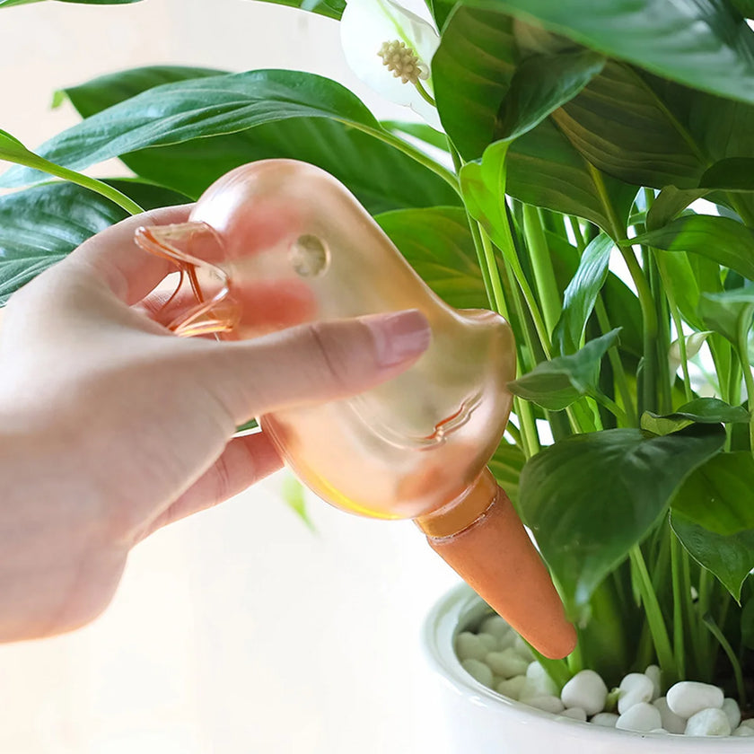 Automatic Bird Plant Waterer