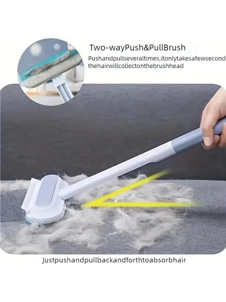Pet Hair Removal